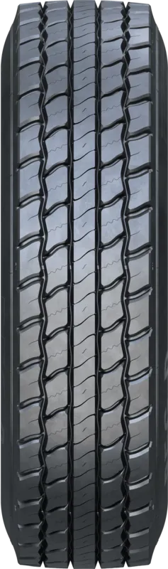 FORZA REG D FORZA REG D